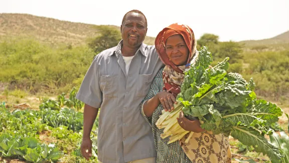 Dank der Tröpfchenbewässerung können Hasan und Shukri eigenes Gemüse für ihre Familie anbauen. Foto: LWB/C. Kästner-Meyer 