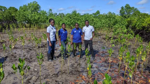 Für mehr Umweltschutz und Klimaresilienz: Bei dem ELKT-Projekt Together for Green Community wurden u.a. an der Küste um die Stadt Kilwa Masoko mehr als 20.000 Mangrovenbäume gepflanzt. Foto: Erick Kapira