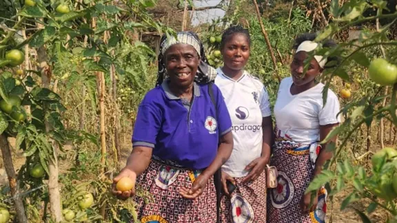 Mitglieder einer Frauengruppe in der ELCZ-Gemeinde Zambezi zeigen Tomaten, die sie in ihrem Gemüsegarten angebaut haben. Foto: ELCZ / Collins Chinsembu