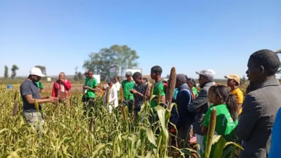 Ein Projekt der Madagassischen Lutherischen Kirche informiert junge Menschen über nachhaltige Landwirtschaft. Foto: MLK